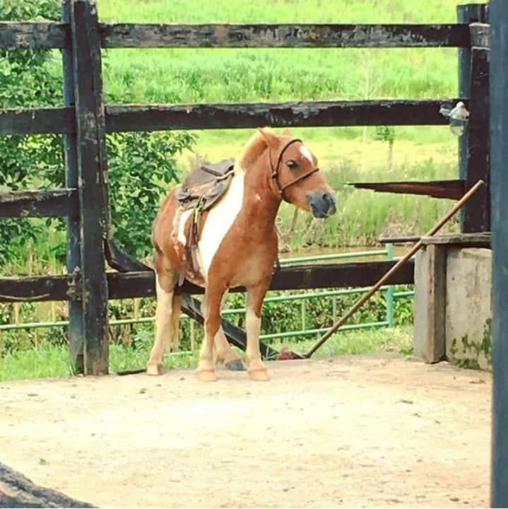 Hotel Fazenda Tucano Capim Branco Zewnętrze zdjęcie