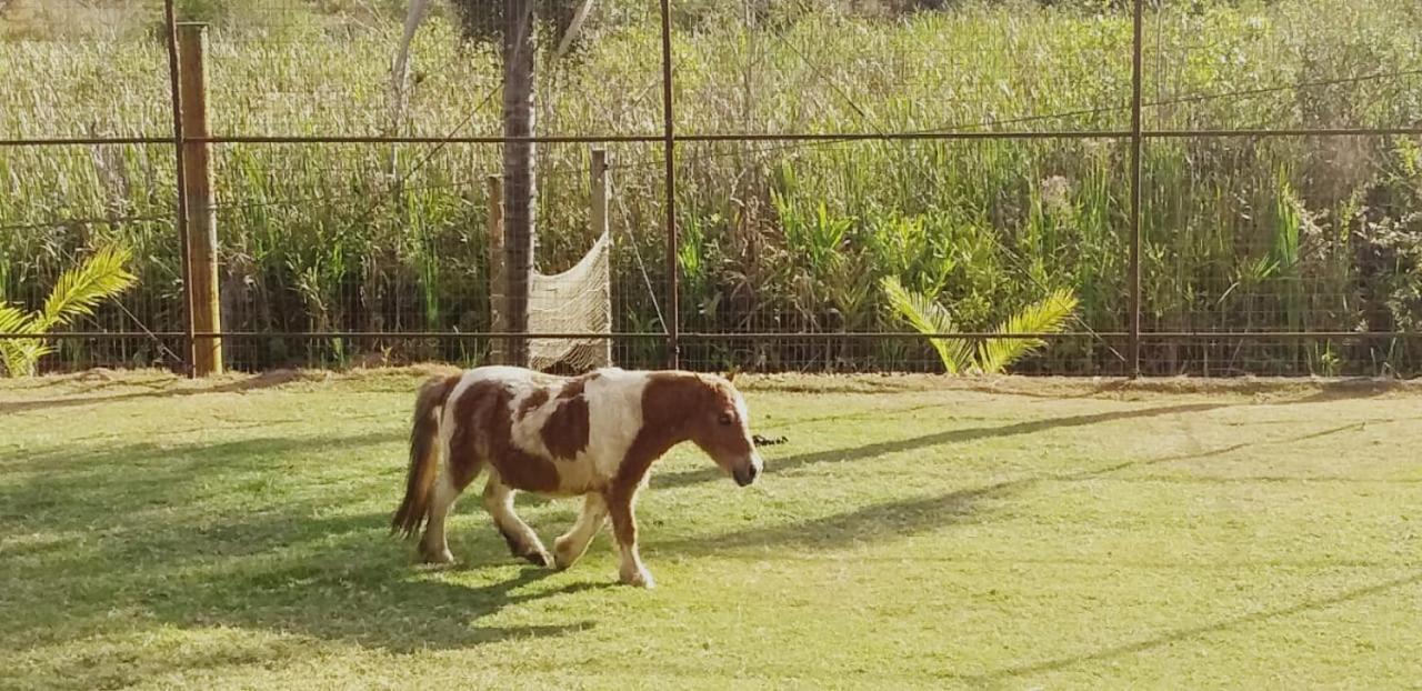 Hotel Fazenda Tucano Capim Branco Zewnętrze zdjęcie